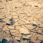 Dried soil with gray stones on white sand during a sunny heatwave.