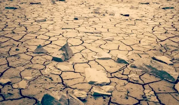 Dried soil with gray stones on white sand during a sunny heatwave.