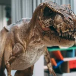 Illustration of dinosaur, animals, and reptiles in a natural setting.