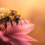 Bee on pink flower with detailed textures and vibrant colors.