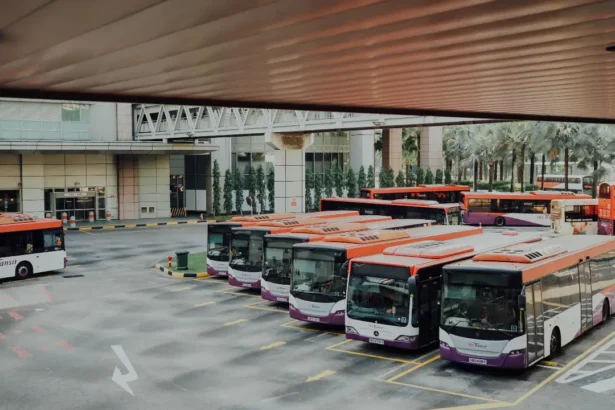 Group of electric buses with orange and white paint in a bus lot.