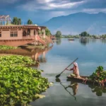 Woman rowing a Shikara boat in Srinagar, Kashmir.