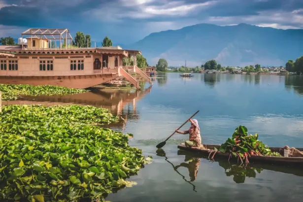 Woman rowing a Shikara boat in Srinagar, Kashmir.
