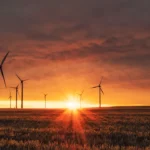 Windmill on grass field during golden hour sunlight.