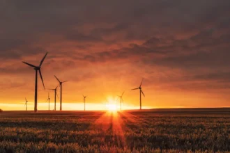 Windmill on grass field during golden hour sunlight.