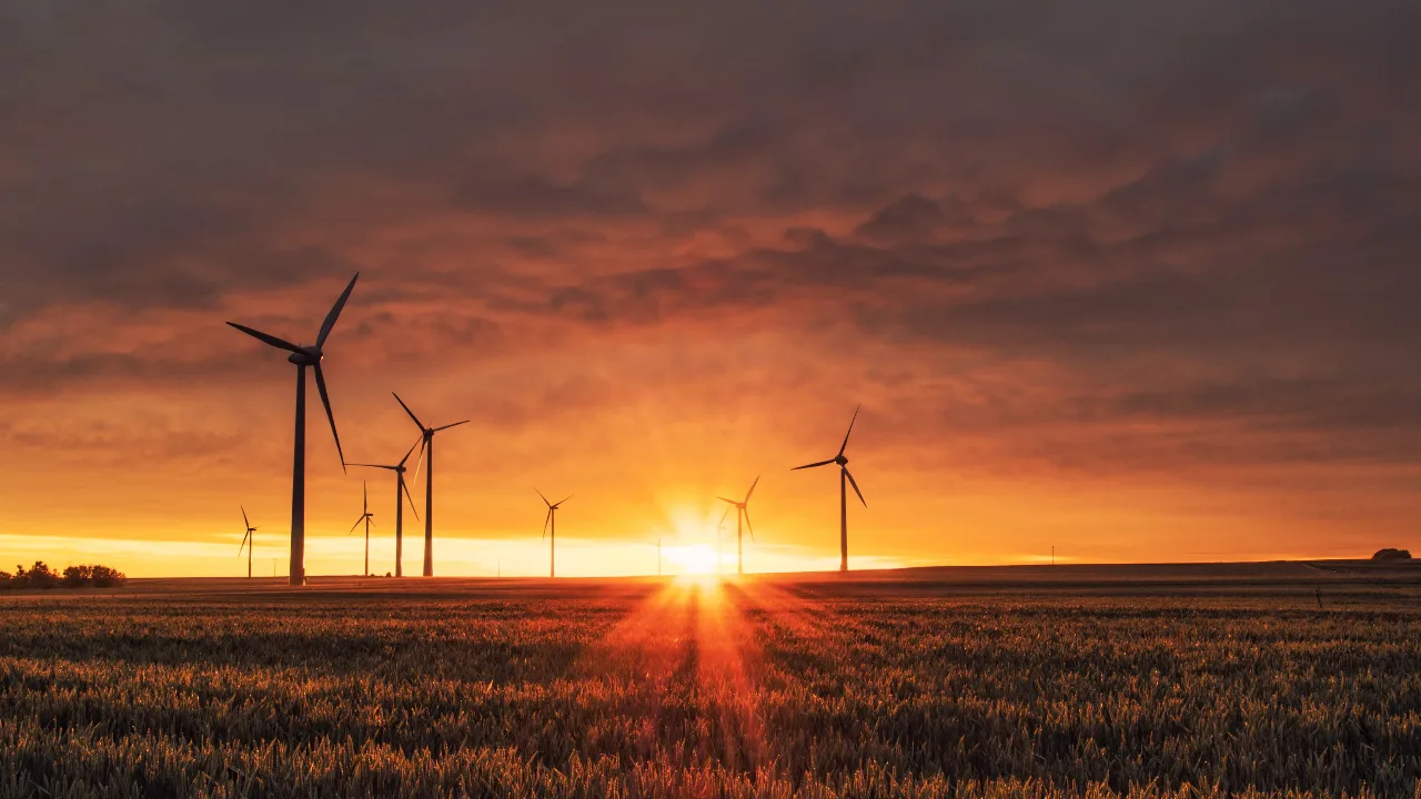 Windmill on grass field during golden hour sunlight.