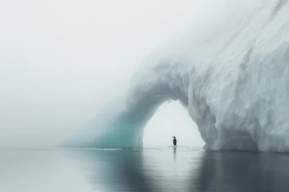 Penguin near natural arch iceberg in tranquil polar waters