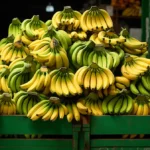 Colorful bananas in green crate at a lively market.