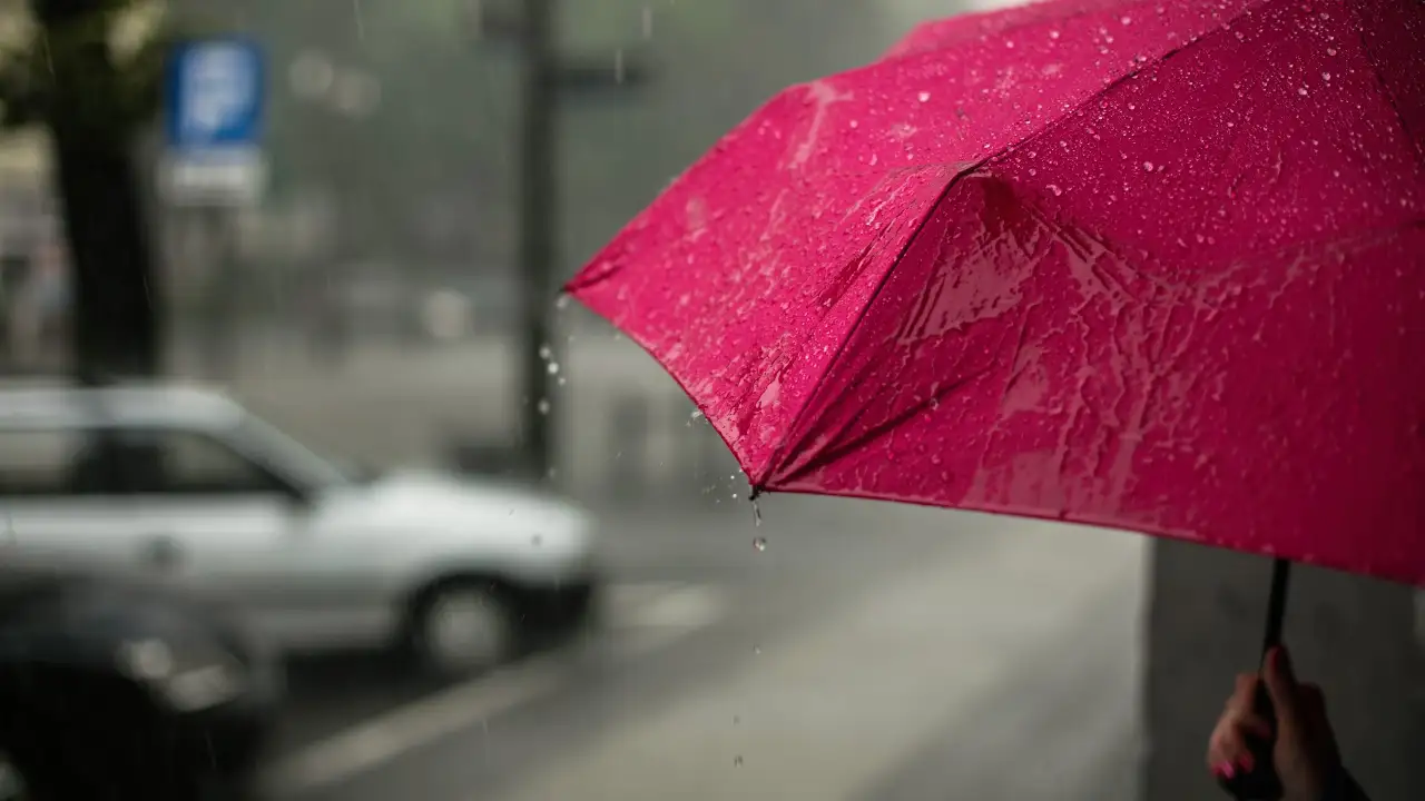 Women holding pink umbrellas during heavy rain in Delhi, India.